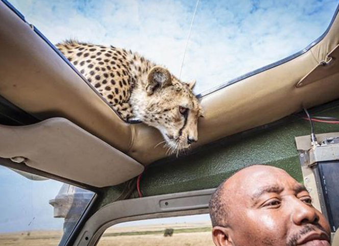 前方危險(xiǎn)！請(qǐng)注意安全！